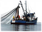 Trawler photo